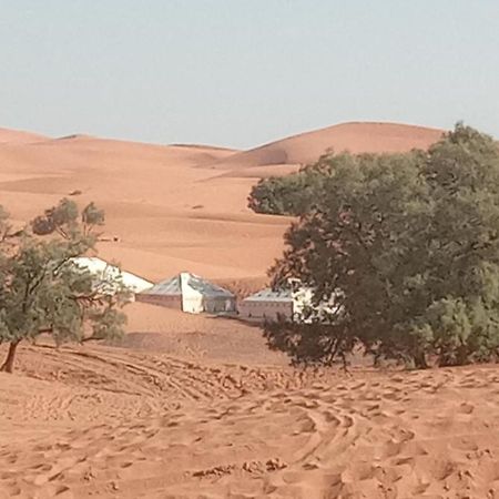 Bivouac Camel Trips Hotel Merzouga Bagian luar foto