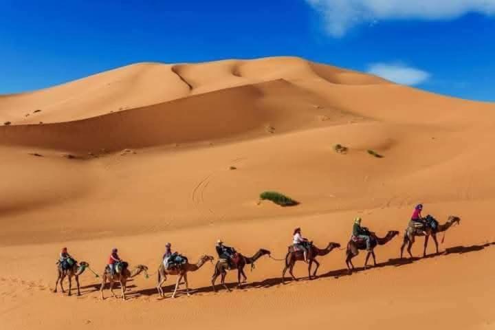 Bivouac Camel Trips Hotel Merzouga Bagian luar foto