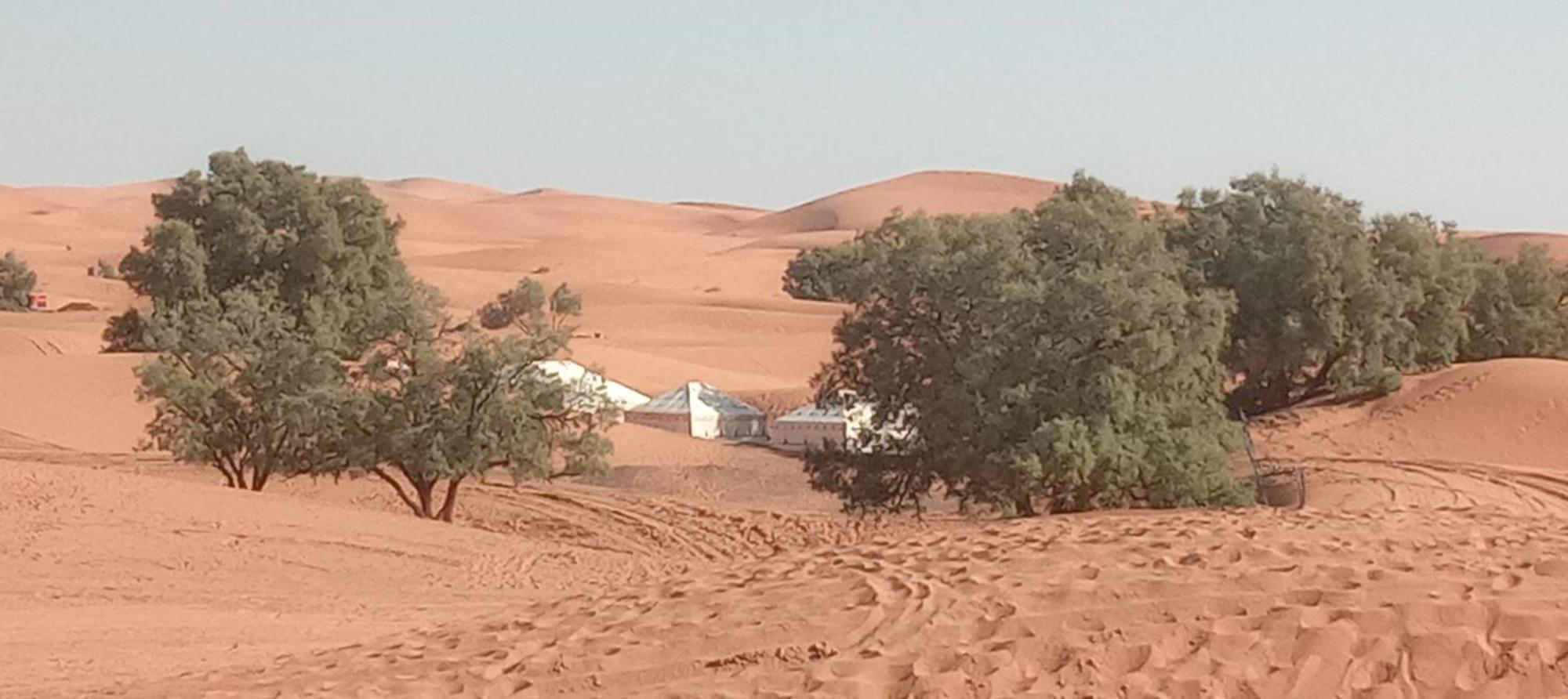 Bivouac Camel Trips Hotel Merzouga Bagian luar foto
