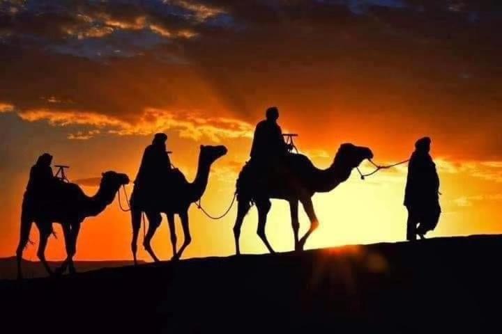 Bivouac Camel Trips Hotel Merzouga Bagian luar foto
