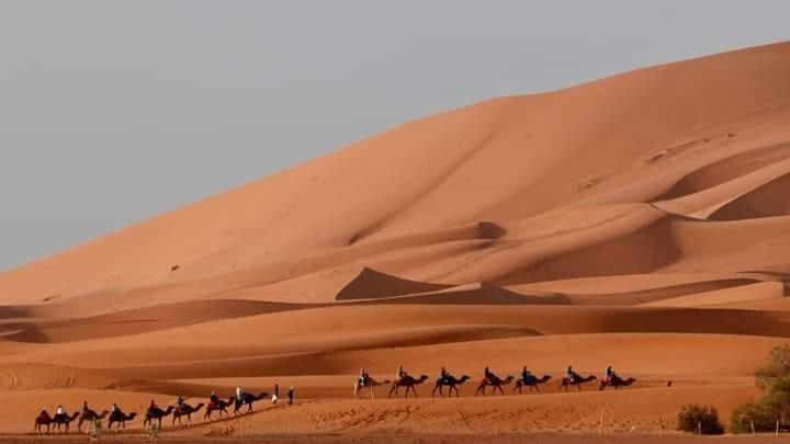 Bivouac Camel Trips Hotel Merzouga Bagian luar foto