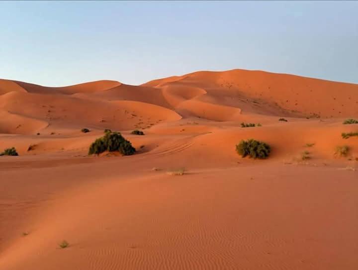 Bivouac Camel Trips Hotel Merzouga Bagian luar foto