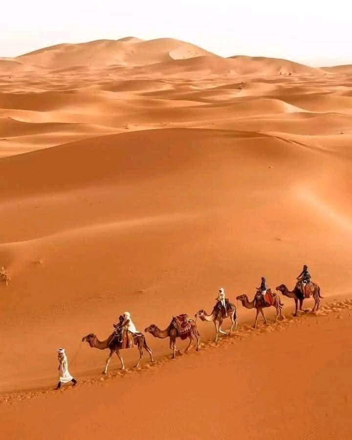 Bivouac Camel Trips Hotel Merzouga Bagian luar foto