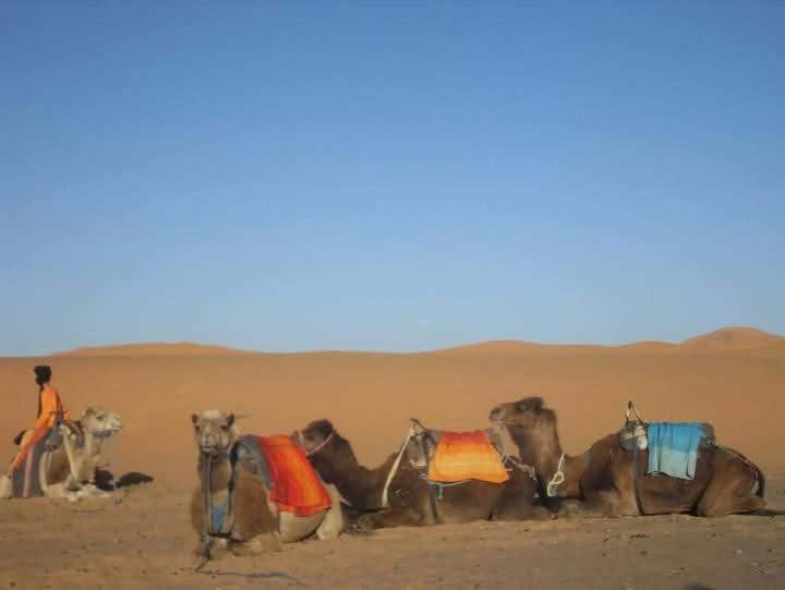 Bivouac Camel Trips Hotel Merzouga Bagian luar foto