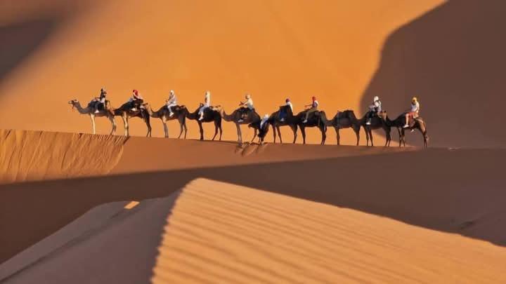 Bivouac Camel Trips Hotel Merzouga Bagian luar foto