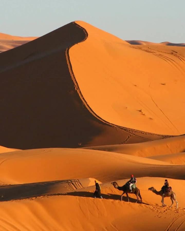 Bivouac Camel Trips Hotel Merzouga Bagian luar foto