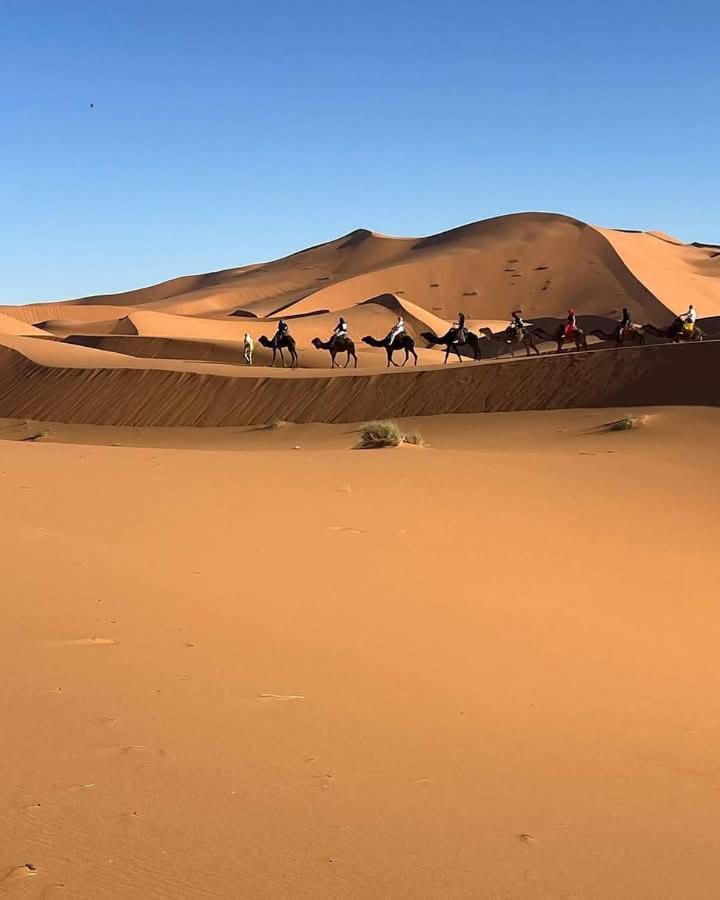 Bivouac Camel Trips Hotel Merzouga Bagian luar foto